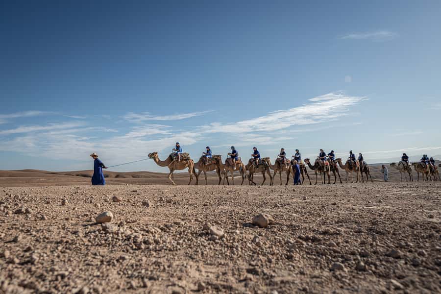 From Marrakech: VIP Agafay Desert & Oasis Camel Experience - Arrival at the oasis and the first cup of tea