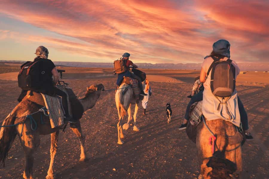 From Marrakech: Zagora 2-Day Desert Safari with Food & Camp - Key points before you book