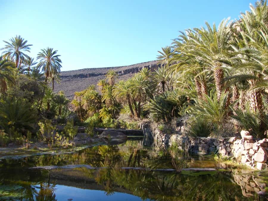 From Marrakesh: 2-Day Trek to Ait-Benhaddou and Ouarzazate - Fint Oasis and a Berber home
