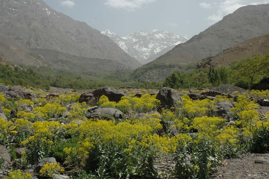 From Marrakesh: 3-Day Trip to Berber Villages - Key points before you book