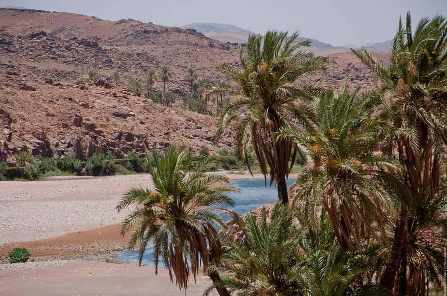 From Marrakesh: 4-Day Private Atlas Mountains & Desert Tour - Day three: sunrise, Rissani, and the return to Ouarzazate