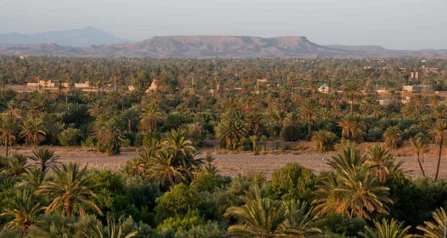 From Marrakesh: 4-Day Private Atlas Mountains & Desert Tour - The vehicle and guide make or break the experience