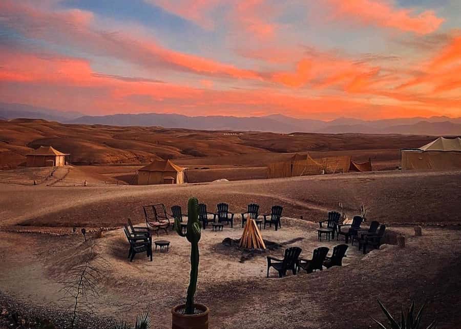 From Marrakesh Agafay Desert Dinner & Sunset, and Camel Ride - The Guides Make a Real Difference