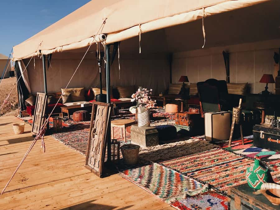 From Marrakesh: Agafay Desert Quad Biking, Camels & Dinner - A slower hour with the camels