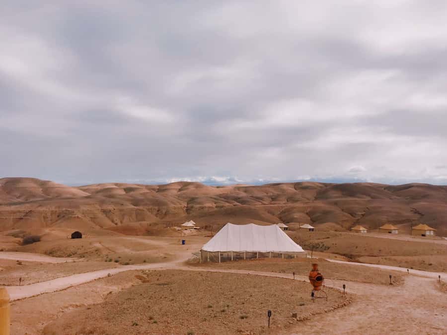 From Marrakesh: Agafay Desert Quad Biking, Camels & Dinner - What the $115 price really covers