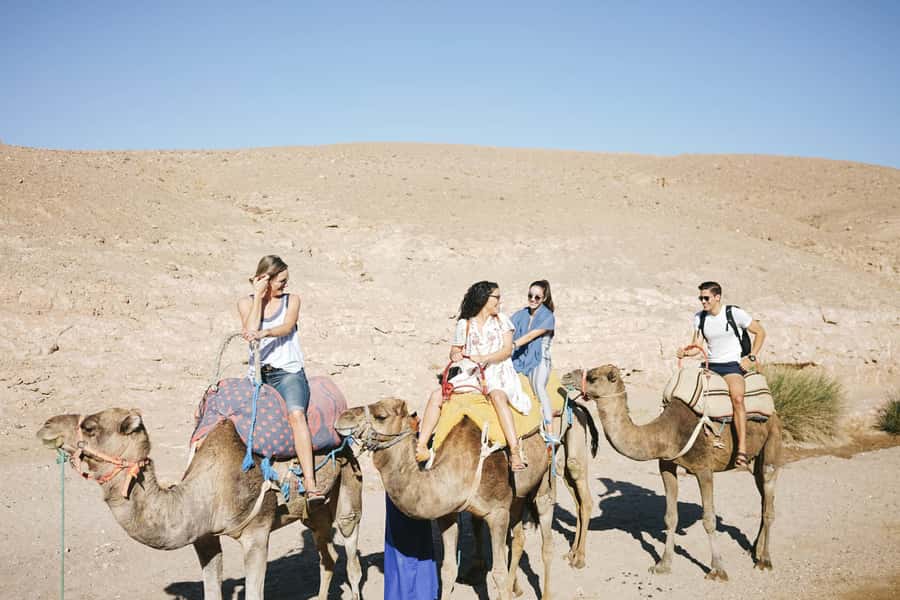 From Marrakesh: Agafay Desert Quad Biking, Camels & Dinner - Practical ways to improve your day