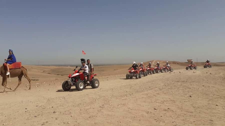 From Marrakesh: Agafay Desert Quad Biking, Camels & Dinner - One hour on a quad across rocky tracks