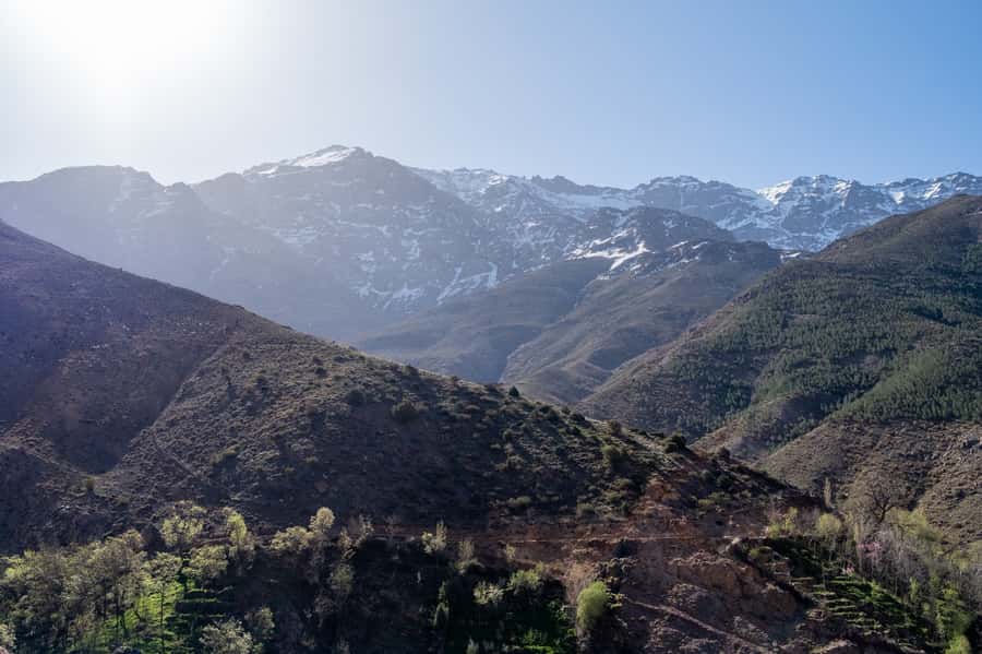 From Marrakesh: Atlas Mountains Talamrout Summit Day Hike - Key points at a glance