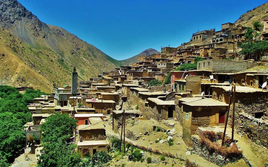 From Marrakesh: Day Trip to Atlas Mountains & Optional Lunch - Who will enjoy this day most