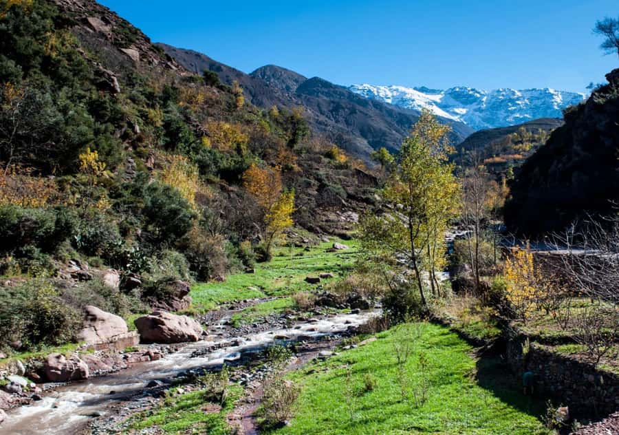 From Marrakesh: Day Trip to Atlas Mountains & Optional Lunch - Arriving in Imlil, gateway to the High Atlas