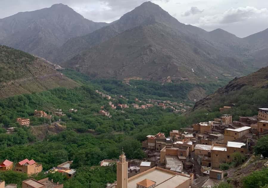 From Marrakesh: Day Trip to Atlas Mountains & Optional Lunch - Mint tea before the road back