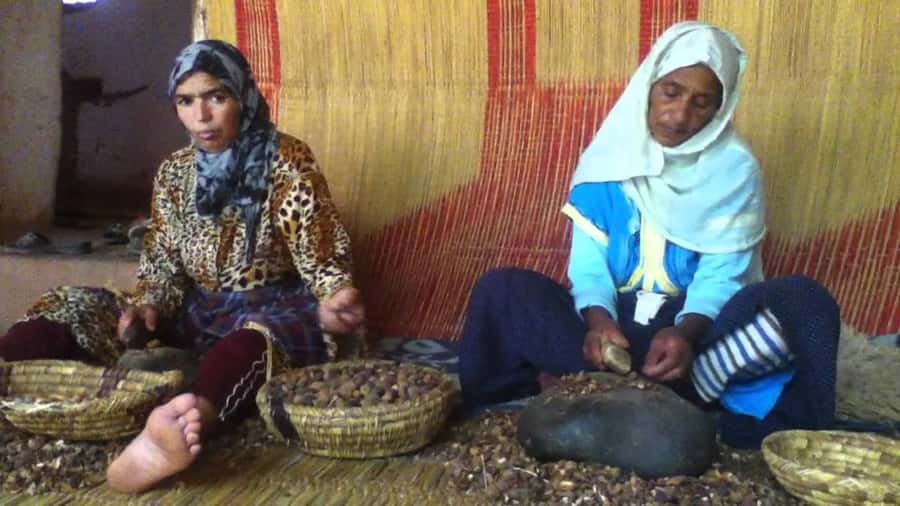 From Marrakesh: Essaouira Day Trip - Seafood, cafés, and the beach