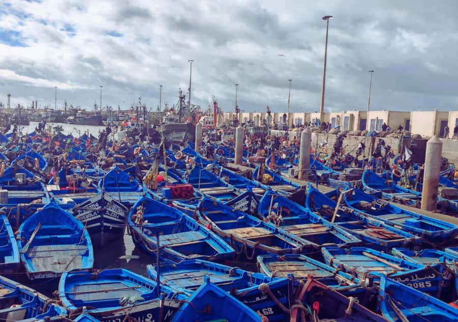 From Marrakesh: Essaouira Full-Day Trip - Key points to know before booking