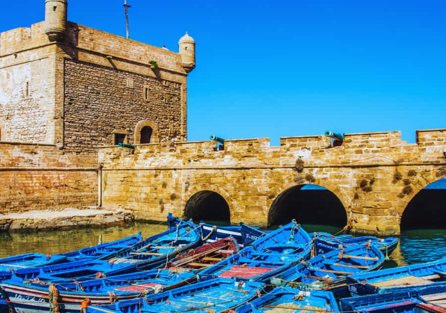 From Marrakesh: Essaouira Full-Day Trip - What happens at the women’s argan cooperative