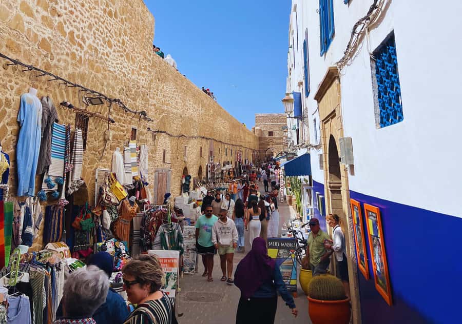 From Marrakesh: Essaouira Full-Day Trip - How much free time do you really get?