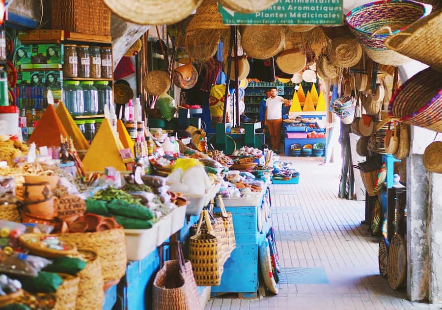 From Marrakesh: Essaouira Full-Day Trip - The road west through Berber villages and argan country