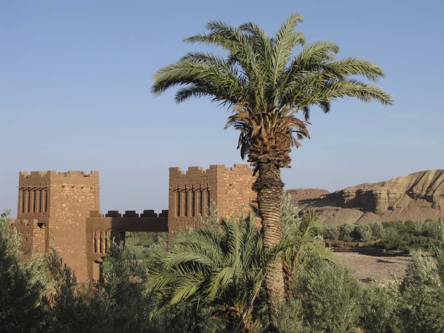 From Marrakesh: Ouarzazate & Ait Ben Haddou Day Tour - Crossing The Atlas Mountains Via Tizi N’Tichka