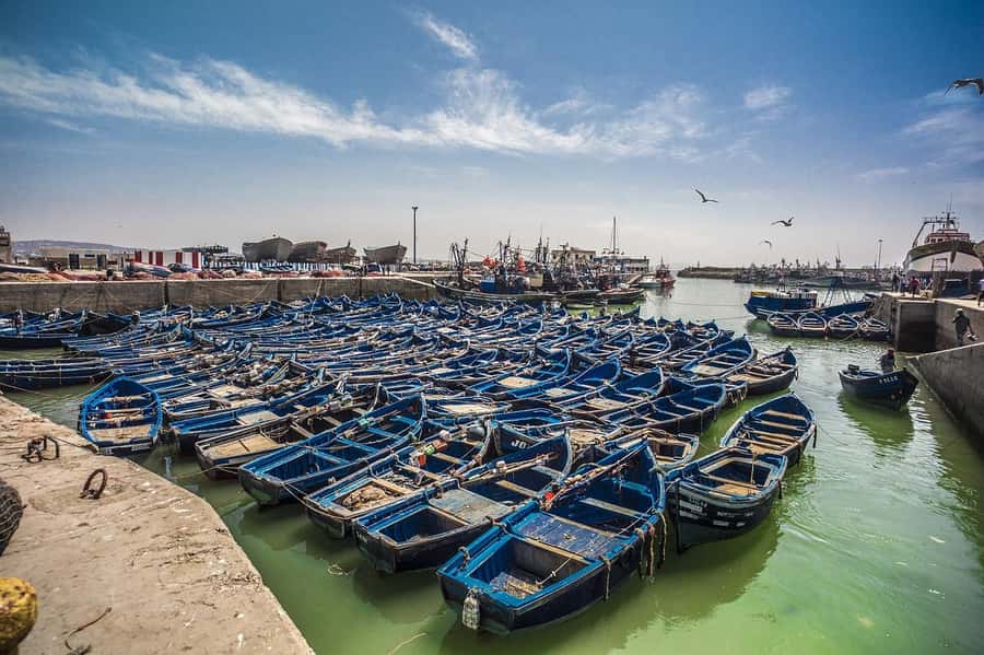 From Marrakesh: Small Group To Essaouira With Opt Activities - The three-hour drive across the Moroccan countryside
