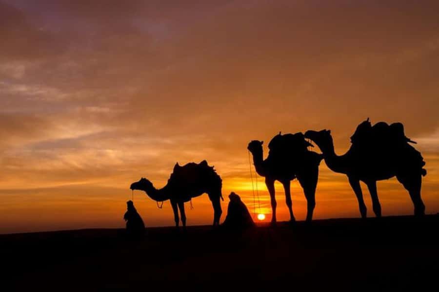 From Marrakesh: Sunset Dinner in Agafay at Berber Camp - Who will enjoy this evening most