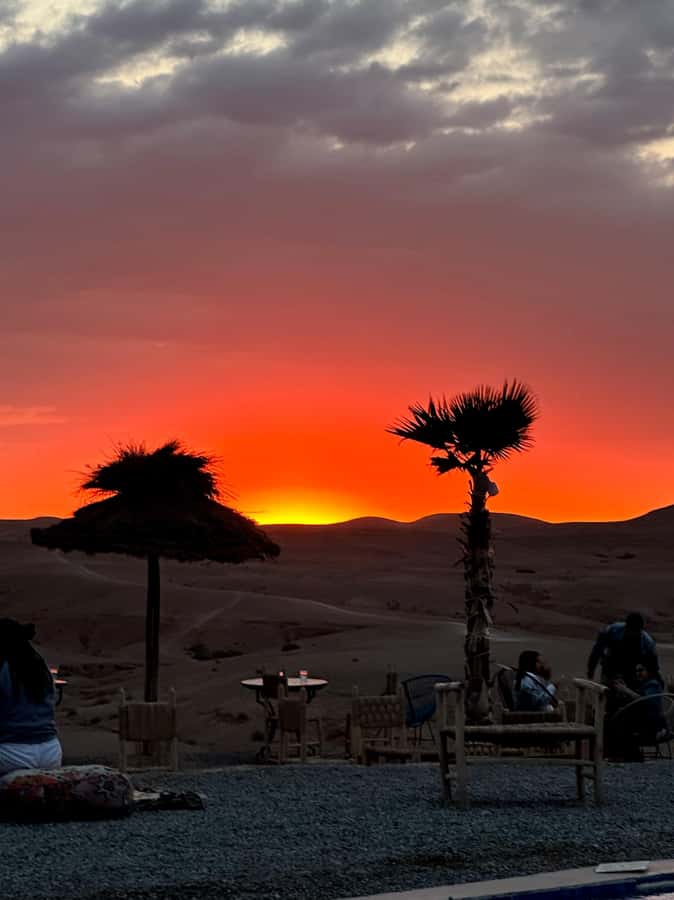 From Marrakesh: Sunset Dinner in Agafay at Berber Camp - The argan oil cooperative stop
