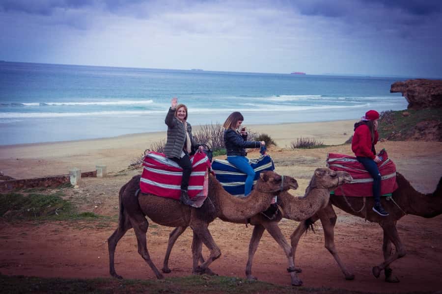 From Seville: Tangier Day Trip with Local Guide and Lunch - Key points to know before booking
