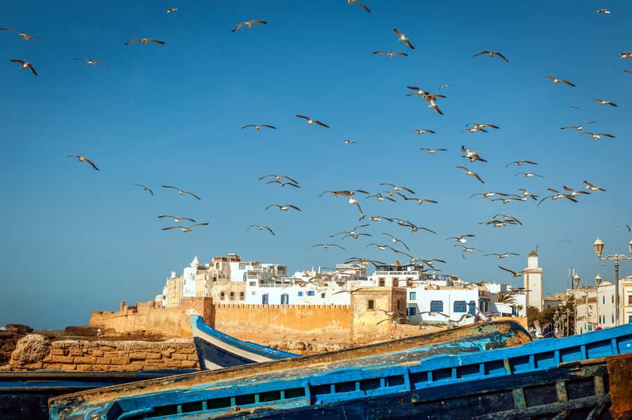 From Taghazout: Medina of Essaouira Guided Day Trip - Why Essaouira makes a worthwhile day trip