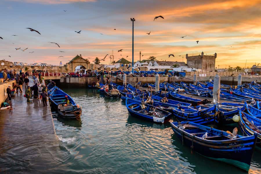 From Taghazout: Medina of Essaouira Guided Day Trip - Three useful stops before Essaouira