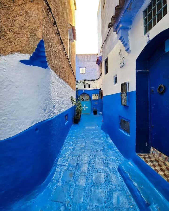 From Tangier: Asilah Tour with Tea Tasting & Camel Ride - Why this day trip works from Tangier