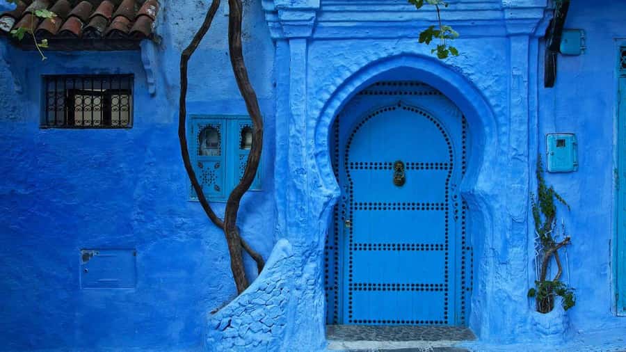 From Tangier: Chefchaouen Day Trip with Local Guide - Small details that make the day better