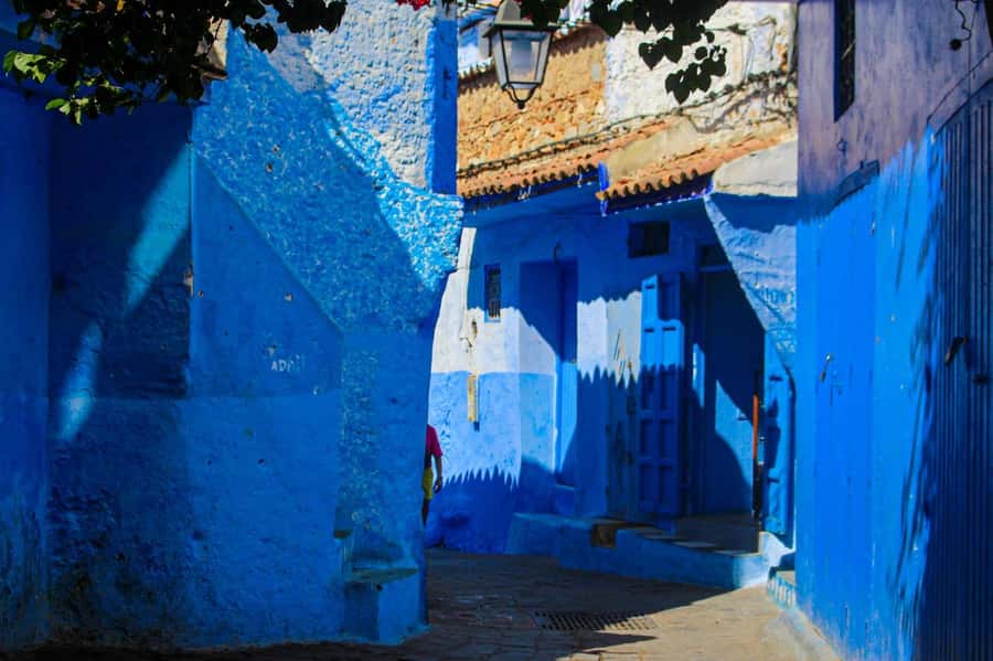 From Tangier: Chefchaouen Day Trip with Local Guide - Who will enjoy this day most