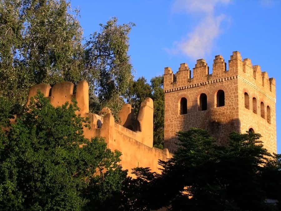 From Tangier: Chefchaouen Guided Full-Day Trip - Who should book this day trip?