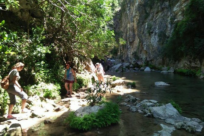 From Tangier: Day Trip to Chefchaouen and Akchour Waterfalls - First Look at Chefchaouen’s Blue Medina