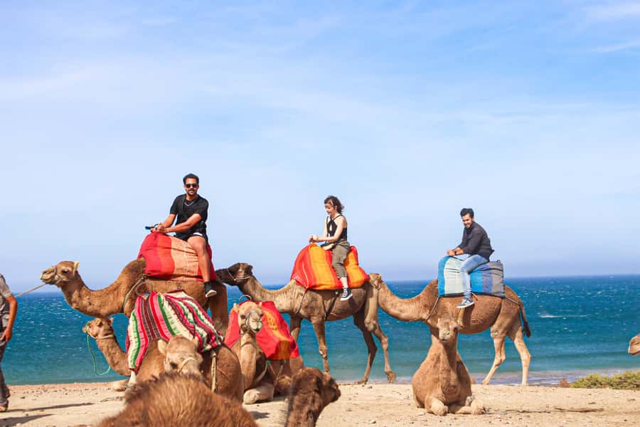 From Tangier: Full-Day Tangier, Asilah, & Cape Spartel Tour - Key points to know before you book