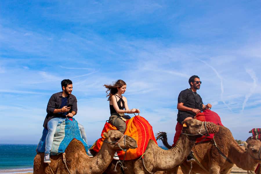 From Tangier: Full-Day Tangier, Asilah, & Cape Spartel Tour - What the $65 price really buys