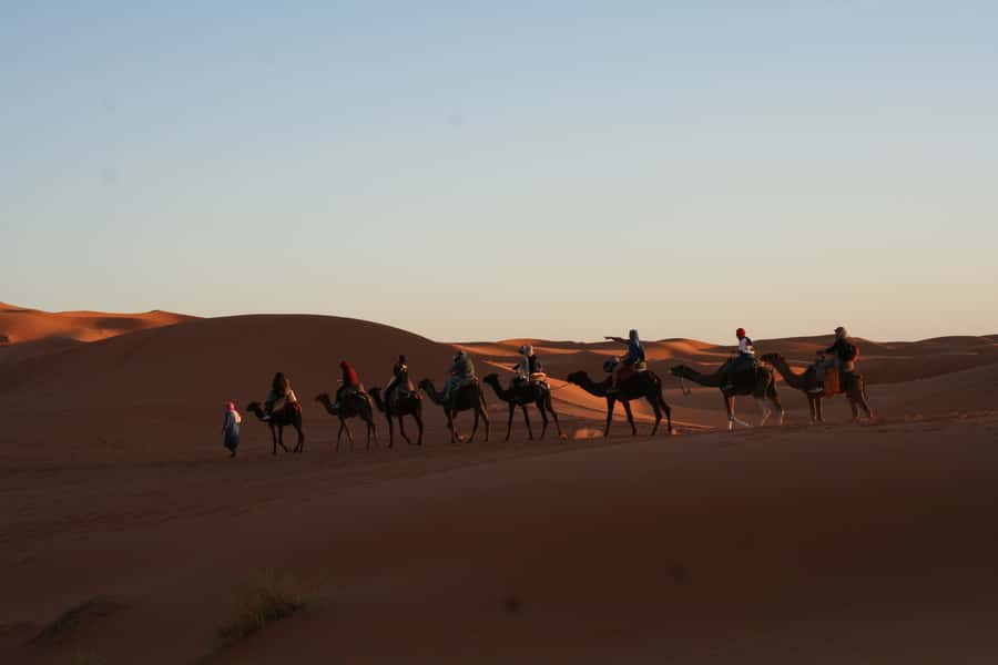 From Zagora: 2-Day Desert Tour to Erg Chegaga - Camel riding into Erg Chegaga at sunset