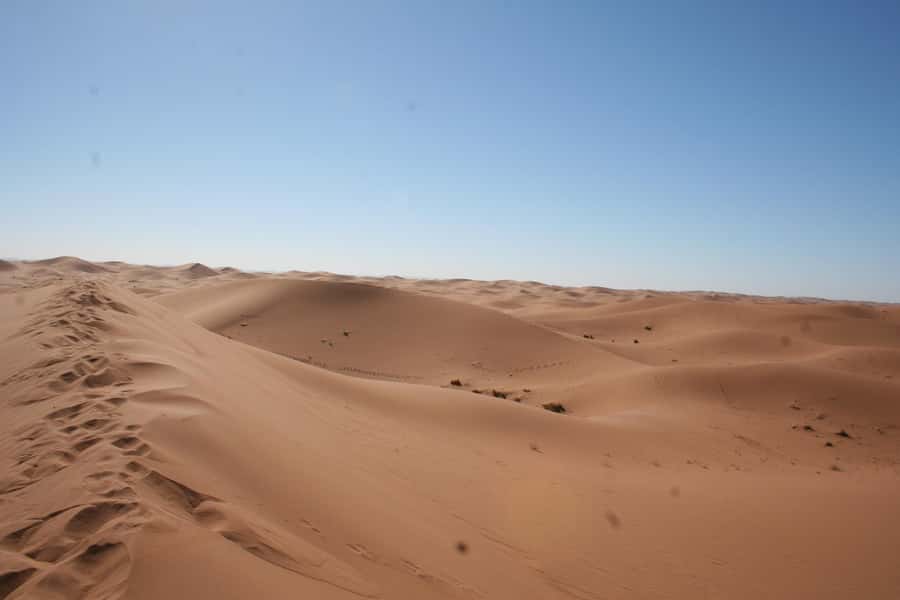 From Zagora: 2-Day Desert Tour to Erg Chegaga - Sunrise, breakfast, and the ride back