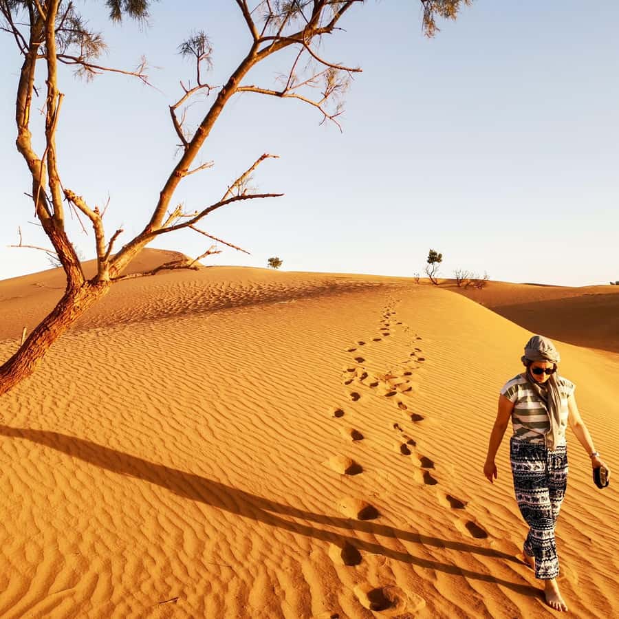 From Zagora: Overnight Desert Tour to Erg Chigaga Camel ride - Quick takeaways from the Erg Chigaga trip