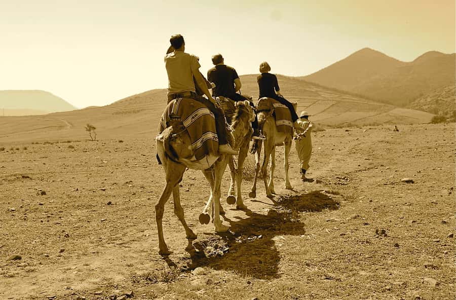 Full-Day Agafay Desert & Atlas Mountains Tour With Camels - Is $28 a Good Value?
