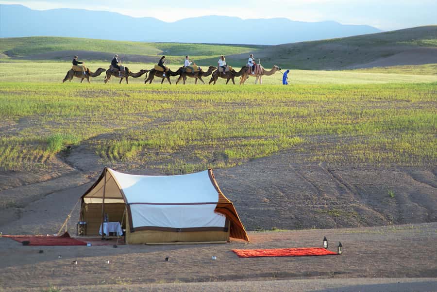 Full-Day Agafay Desert & Atlas Mountains Tour With Camels - Leaving Marrakech for the Agafay Desert