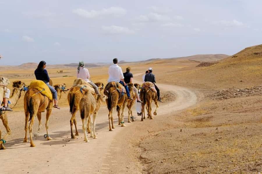 Full-Day Agafay Desert & Atlas Mountains Tour With Camels - Mint Tea and the Argan Oil Cooperative