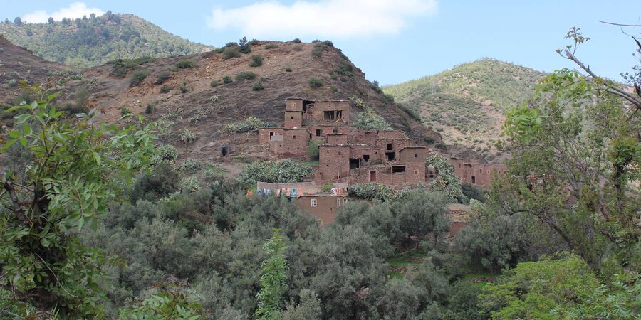 Full-Day Agafay Desert & Atlas Mountains Tour With Camels - Lunch in a Berber Family Home