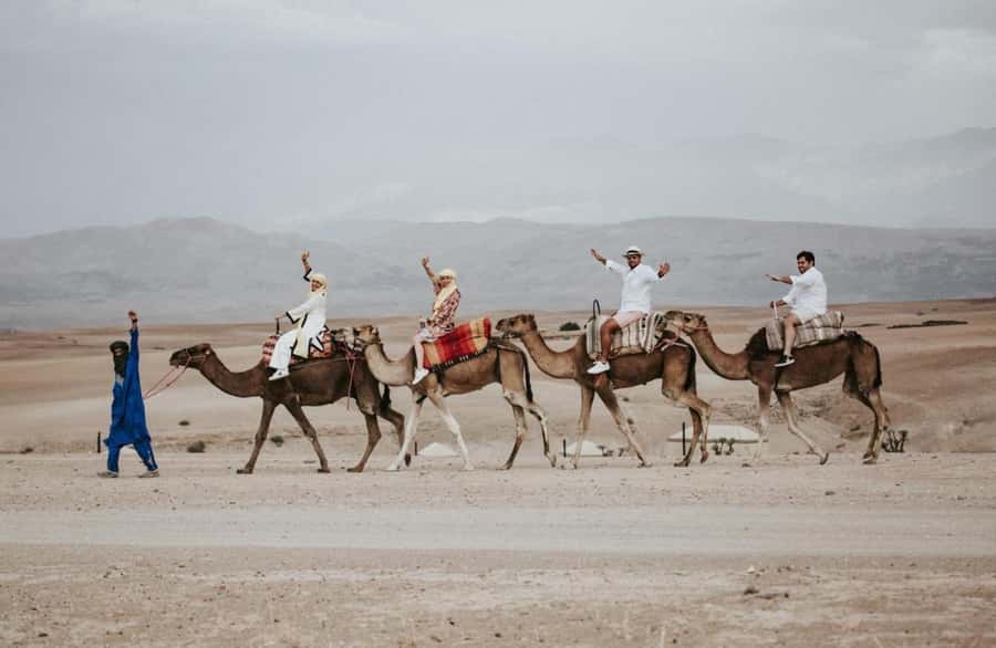 Full-Day Agafay Desert & Atlas Mountains Tour With Camels - What the Eight-Hour Schedule Really Feels Like