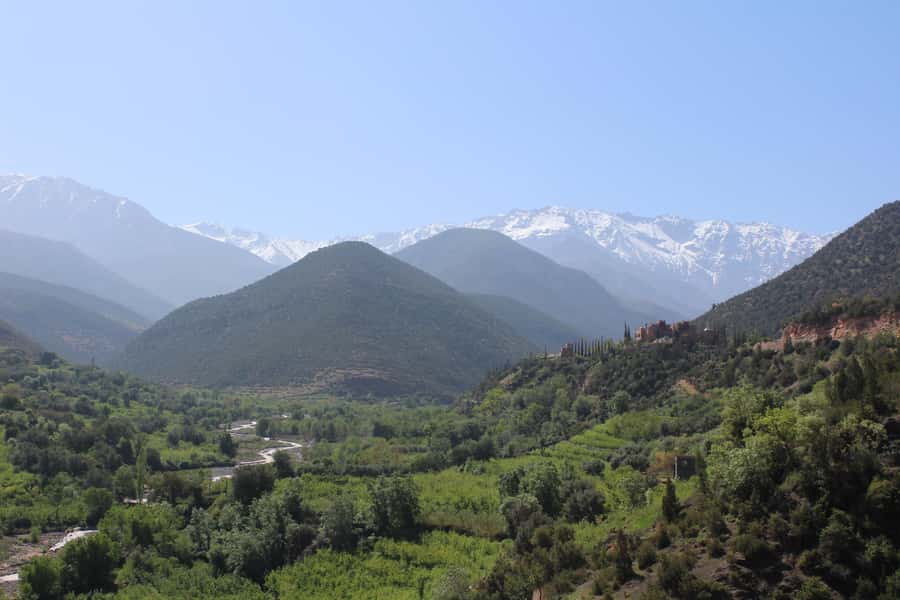 Full-Day Agafay Desert & Atlas Mountains Tour With Camels - A Short Camel Ride Across Agafay’s Rocky Ground