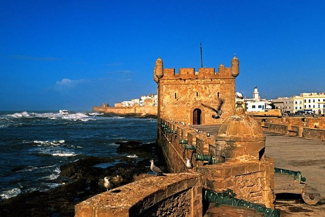 Full-Day Essaouira Excursion from Agadir - Tamri and the Atlantic viewpoint