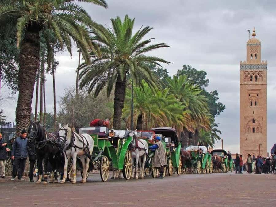 Full-Day Group Trip to Marrakech from Agadir - Koutoubia Gardens and the city’s famous landmark
