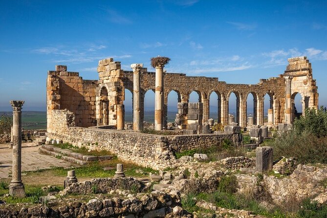 Full-day Historical Meknes Volubilis and Moulay Idriss Tour - Meknes: imperial history with limited guidance