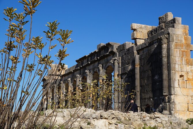 Full-day Historical Meknes Volubilis and Moulay Idriss Tour - Volubilis: the day’s essential stop