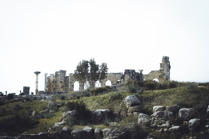 Full-Day Historical Tour to Meknes Volubilis and Moulay Idriss - Meknes: an afternoon in the imperial city