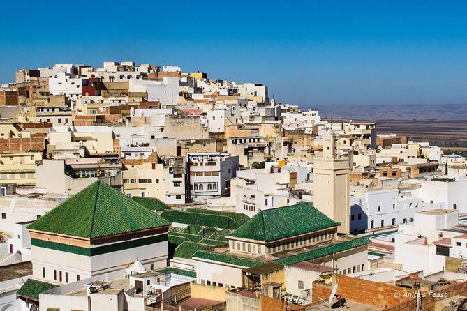 Full-Day Historical Tour to Meknes Volubilis and Moulay Idriss - Volubilis: two hours among Roman ruins