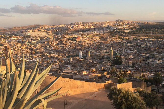 Full -Day Private Guided Walking Tour Of Fez Medina - The Fez tanneries from a useful viewpoint